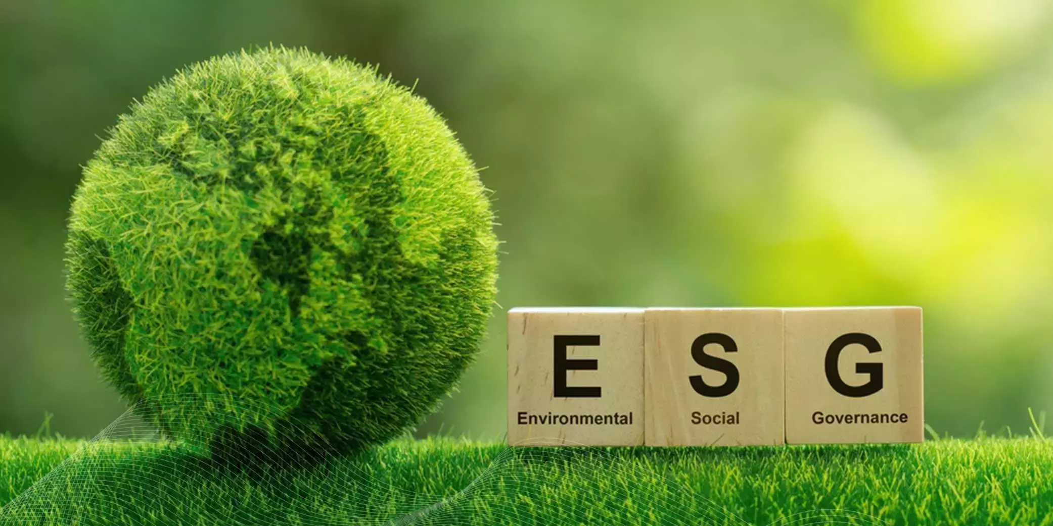 The Difference Between Csr And Esg A Matter Of Measurability