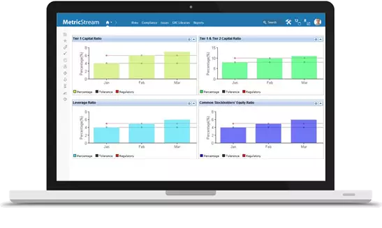 
  MetricStream Reporting and Analytics
